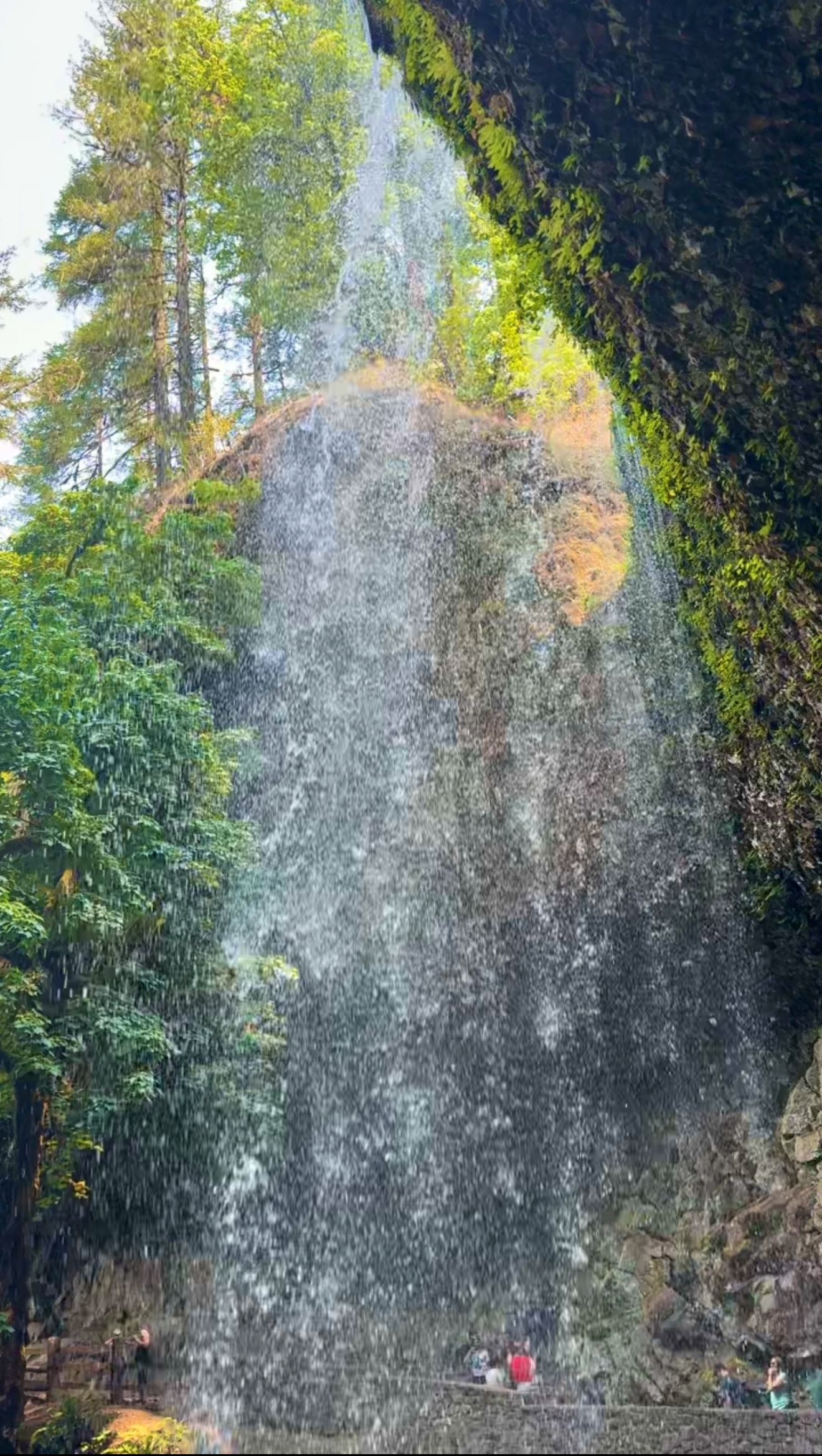 SPECTACULAR SILVER FALLS