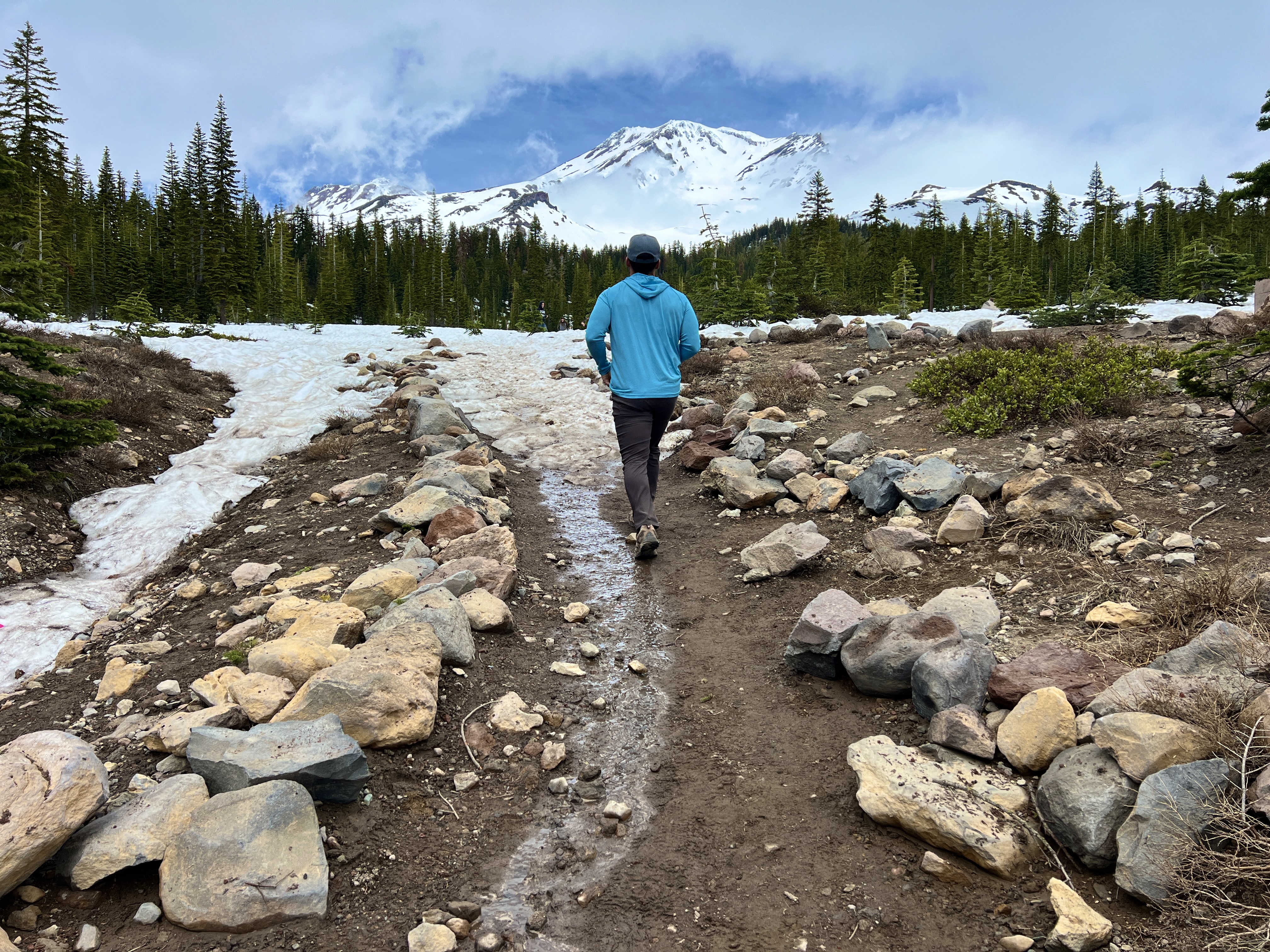 MAJESTIC MOUNT SHASTA